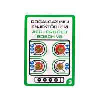 Natural Gas Injectors