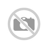 Carbon Brush